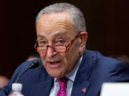 Senadores demócratas prometen reintentar el dar la ciudadanía a inmigrantes Chuck Schumer