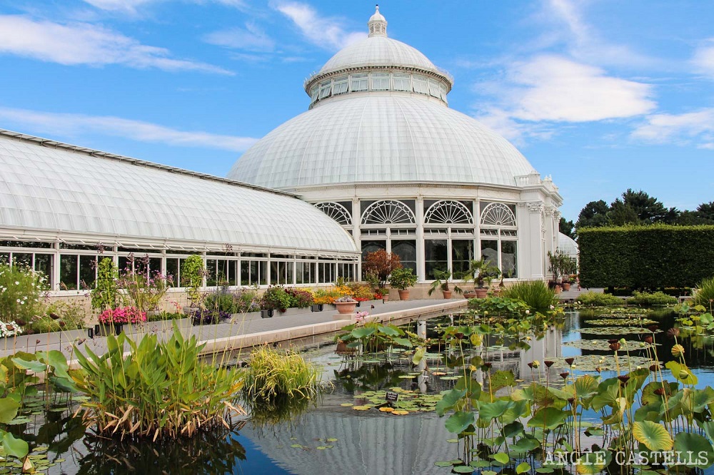 Invernadero Jardín botanico.