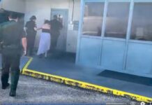 Mujer de Florida mata a cuchilladas a la mascota de su marido para vengarse Mujer de Florida
