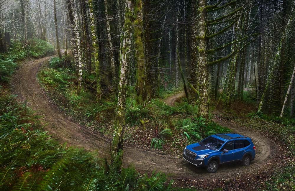 Subaru-Forester_Wilderness-2022-h