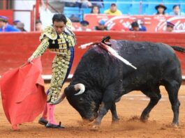 La Plaza México acoge la última novillada del ciclo La Reapertura