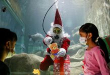 Un santa acuático