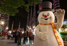 Familias en EE.UU. gastarán un 44 % más esta Navidad que en 2021 por inflación Navidad