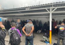 Detienen a 69 migrantes en un tractocamión en el estado mexicano de Veracruz Detienen a 69 migrantes en un tractocamión.