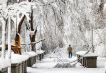 Nueva York puede verse obligada a dejar de usar sal chilena contra el hielo nevada