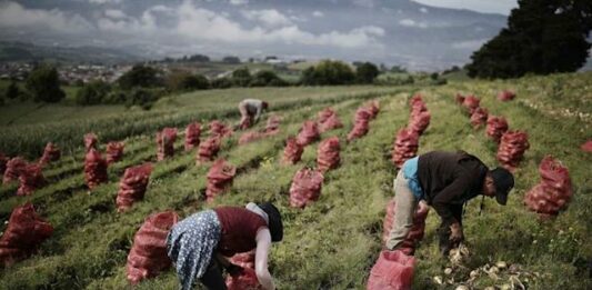 agricultura