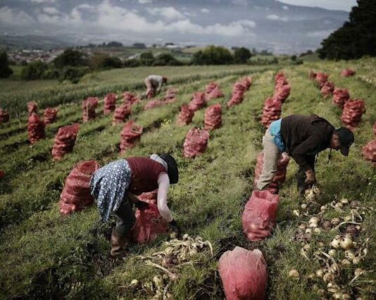 agricultura