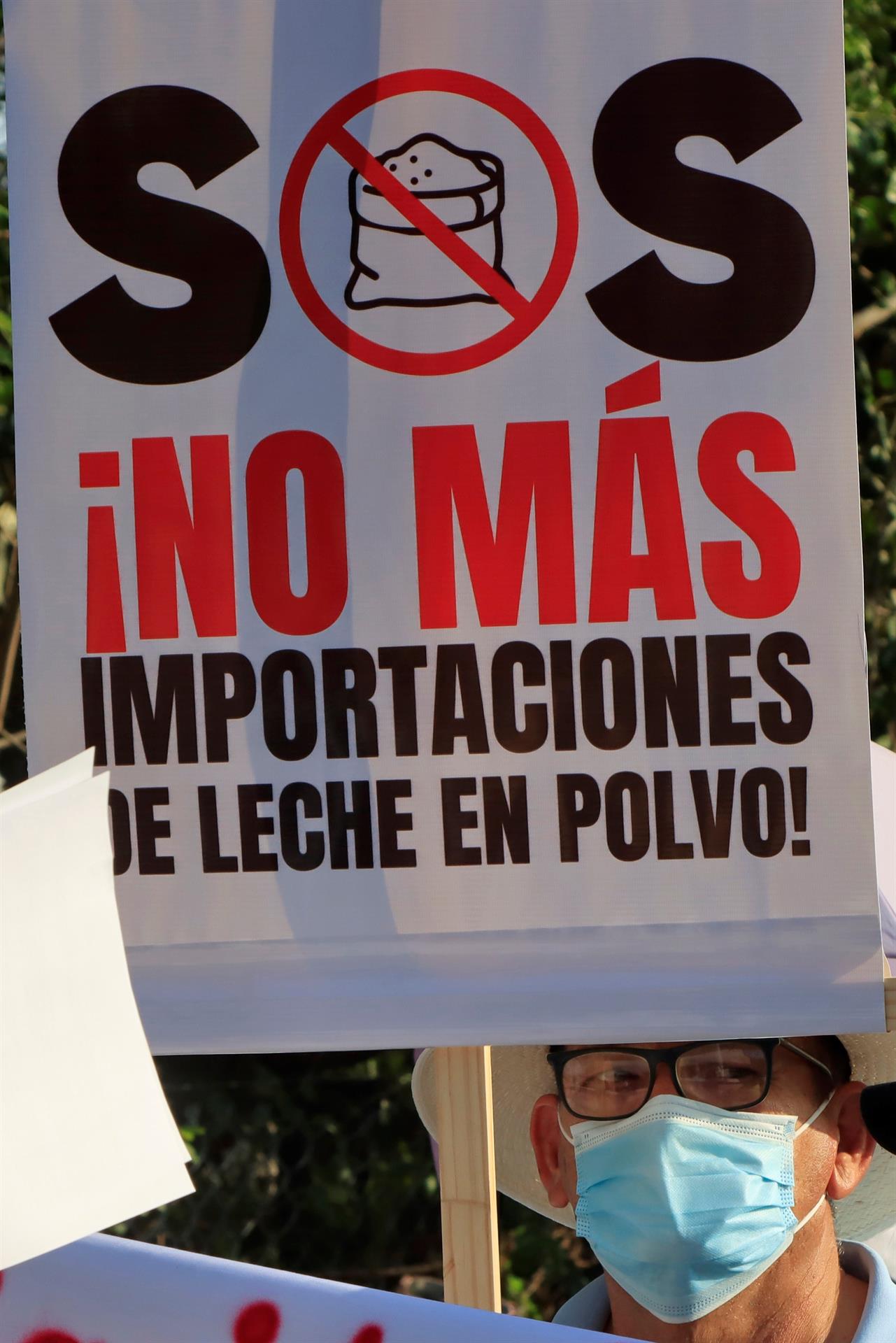 Ganaderos colombianos protestan por importaci&oacute;n de leche en polvo (2)