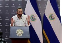 Bukele dice a la comunidad internacional que "no se metan" con tema de la paz Nayib Bukele