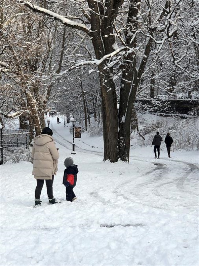 Nueva York amanece cubierta con la primera nieve del a&ntilde;o