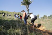 Red Humanitaria pide a Honduras ampliar amnistía para mitigar riesgos que sufren migrantes Unos 800 inmigrantes dejaron Honduras (1)