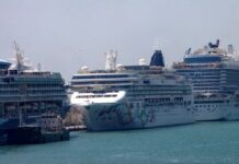 crucero