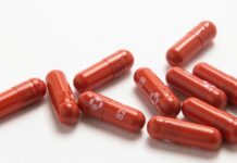 El molnupiravir, el antiviral contra la covid, comienza a venderse en Bolivia molnupiravir