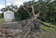 tornado en florida