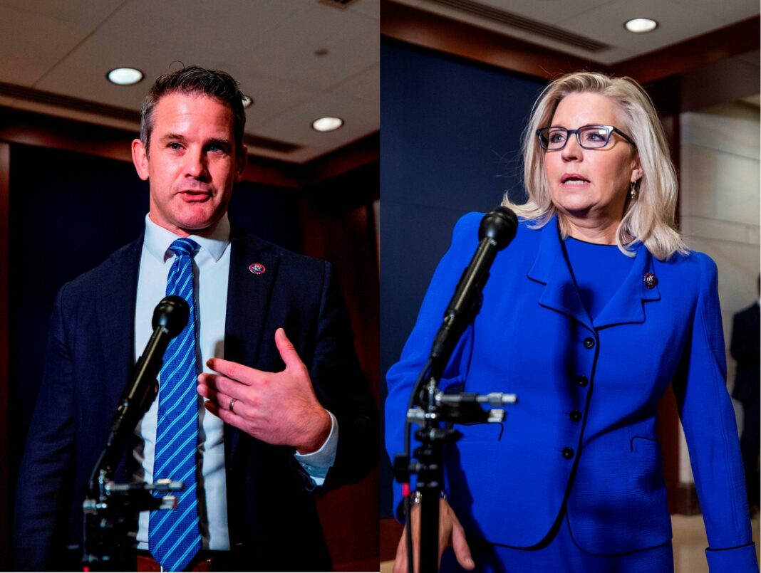 Adam Kinzinger y la representante de Wyoming, Liz Cheney