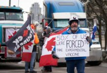 Canadá se prepara para acabar con el bloqueo en la frontera de los camioneros Camioneros antivacuna Canadá
