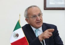 México en busca de nuevas oportunidades de negocio con China Jesús Seade