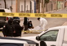 Hallan 16 cadáveres en dos municipios del estado mexicano de Zacatecas Peritos forenses realizan el levantamiento de varios cuerpos hoy, en el municipio de Fresnillo, en el estado de Zacatecas