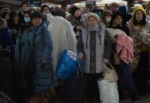 Ángeles conductores, los voluntarios que transportan a refugiados de Ucrania voluntarios que transportan a refugiados de Ucrania (2)