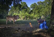 Campesinas mexicanas aportan 50 por ciento a la producción de alimentos Campesinas