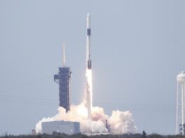 SpaceX sigue agrandando su red de internet en el espacio Cohete Falcon