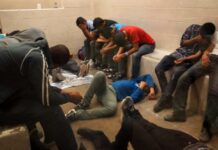 EE.UU. urge reubicar inmigrantes de centro de Nuevo México por insalubridad Inmigrantes detenidos