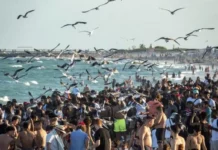 spring break