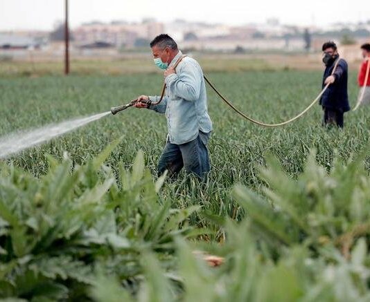 agricultura