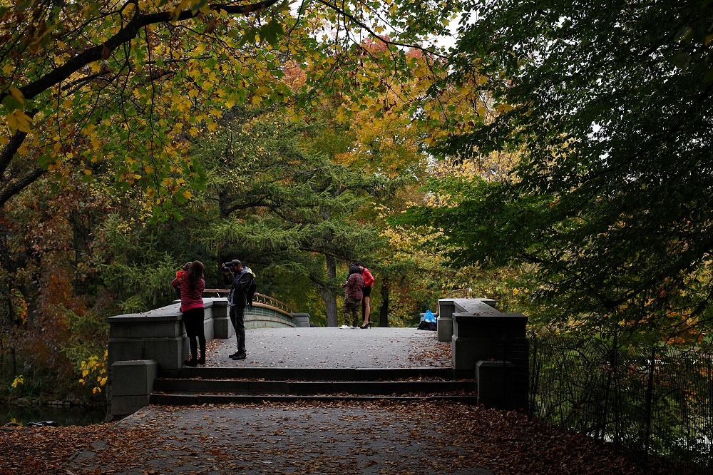 Prospect Park, Prospect Heights, Brooklyn