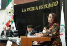 Senado mexicano construye modelo para la regulación de la cannabis