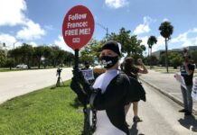 Los defensores de Lolita solo esperan luz verde para llevarla a casa la orca lolita