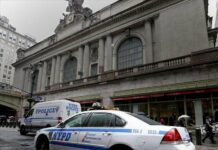 Arrestados veinte presuntos pandilleros que sembraron el terror en El Bronx policía en Nueva York
