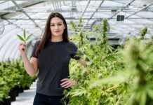 Candidata a gobernadora Florida demanda ley federal sobre marihuana y armas Nicole "Nikki" Fried