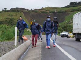 Migrantes