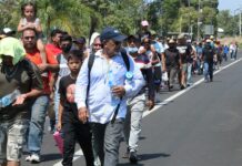 Nueva caravana migrante se entrega a autoridades mexicanas tras 40 kilómetros Migrantes de México
