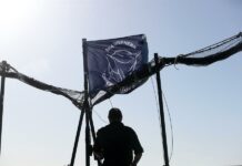 La incombustible lucha de Sea Shepherd por mantener viva a la vaquita marina Sea Shepherd