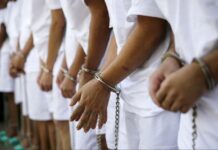 Arrestan en Nueva York a nueve miembros de dos familias de la Cosa Nostra salvatruchas detenidos