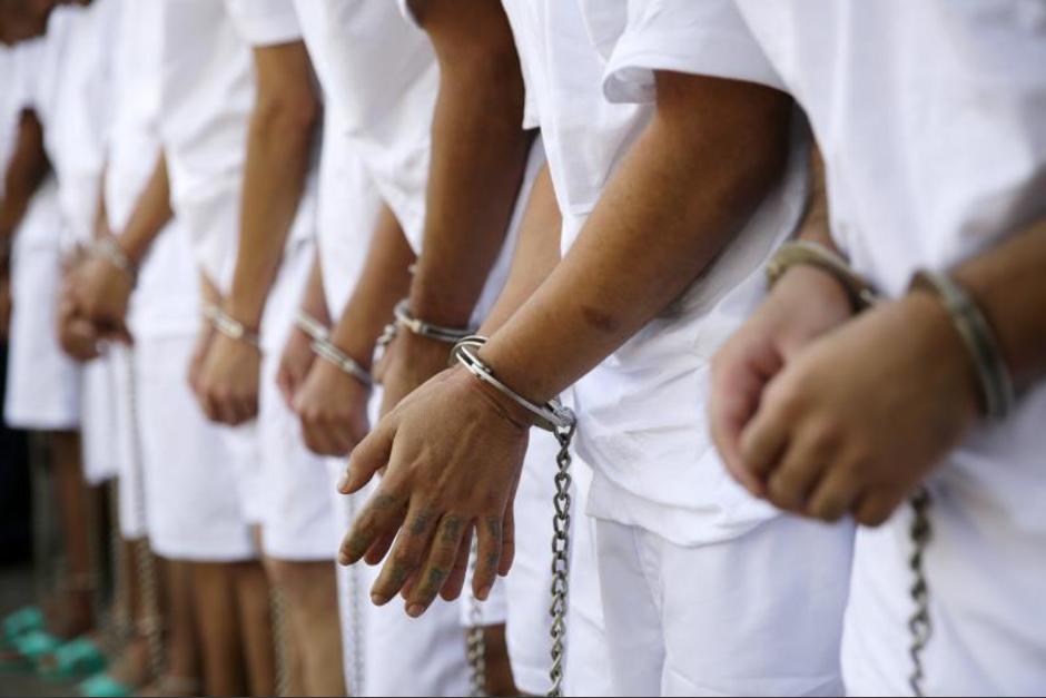 Decenas de salvatruchas detenidos en Nueva York salvatruchas detenidos