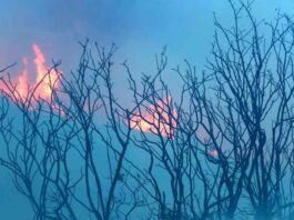 incendio
