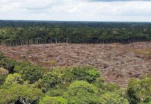 crisis climática