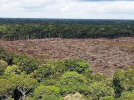 crisis climática