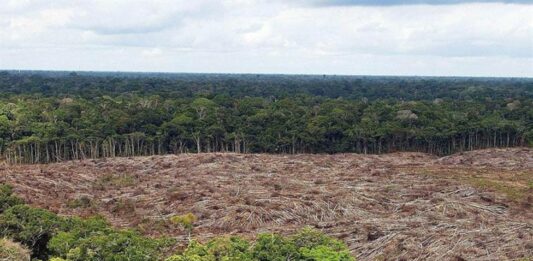 crisis climática