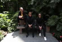Interpol