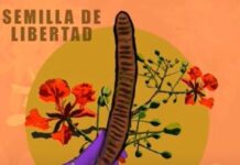 Semilla de Libertad.