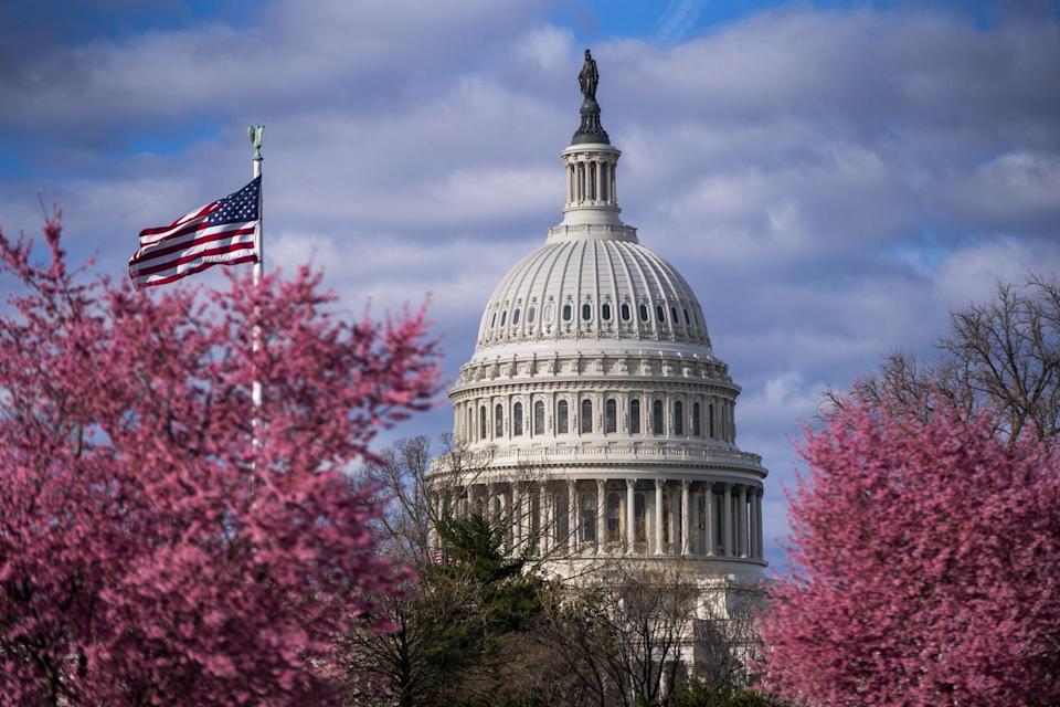 republicanos impiden aprobar ley sobre terrorismo doméstico Estados Unidos