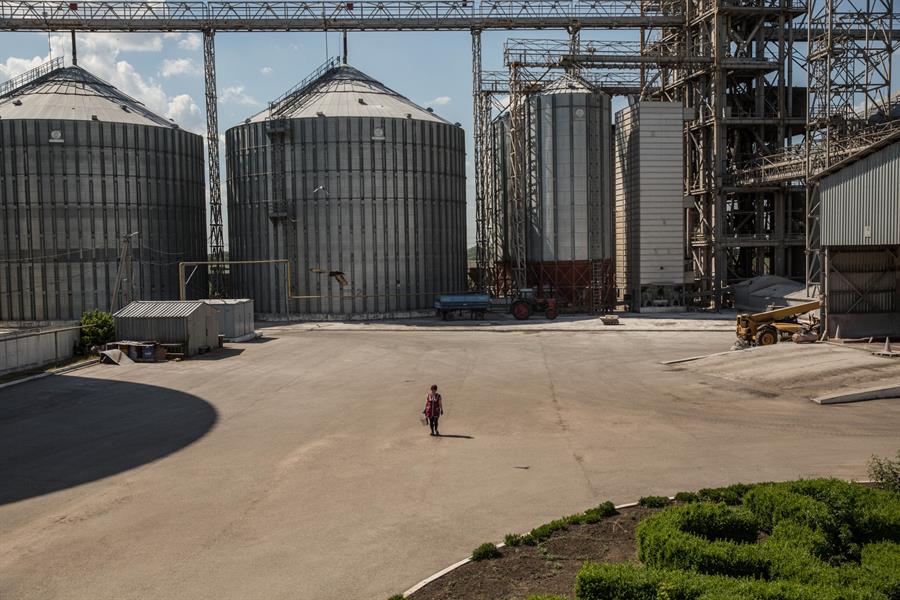 Biden quiere sacar 20 millones de toneladas de cereal bloqueadas en Ucrania cereal en Ucrania
