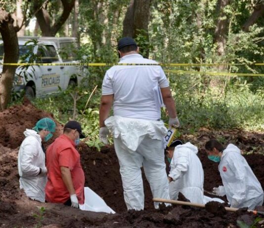 Descubren diez cadáveres en fosas clandestinas en el oeste mexicano fosas clandestinas