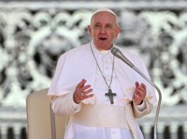 El papa pide que se ponga fin a la locura de la guerra en Ucrania El papa