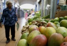 Inmigrantes en Nueva York compran menos comida para pagar servicios de salud alimentación