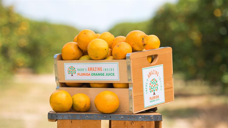 La naranja de Florida